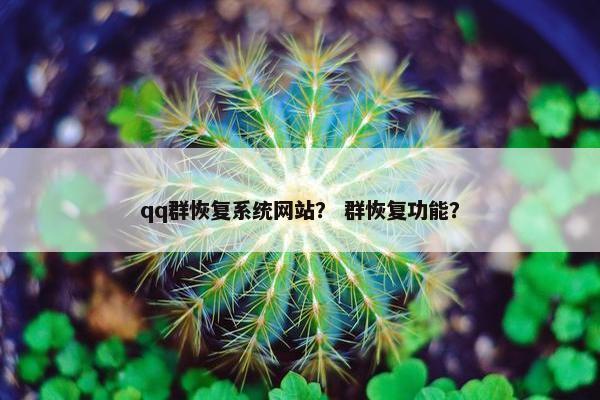 qq群恢复系统网站？ 群恢复功能？