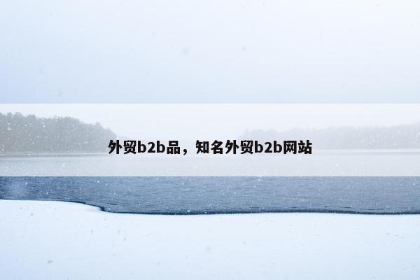 外贸b2b品，知名外贸b2b网站