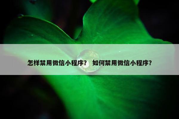 怎样禁用微信小程序？ 如何禁用微信小程序？