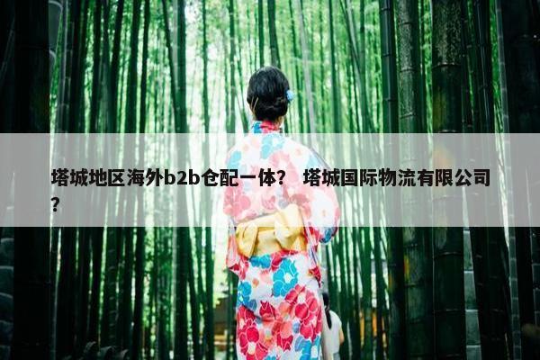 塔城地区海外b2b仓配一体？ 塔城国际物流有限公司？