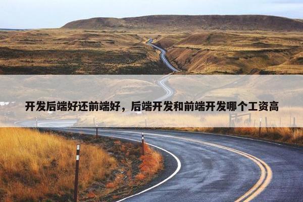 开发后端好还前端好，后端开发和前端开发哪个工资高