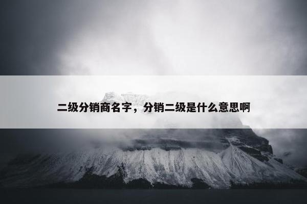 二级分销商名字，分销二级是什么意思啊