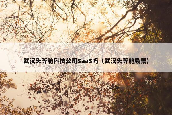 武汉头等舱科技公司SaaS吗（武汉头等舱股票）