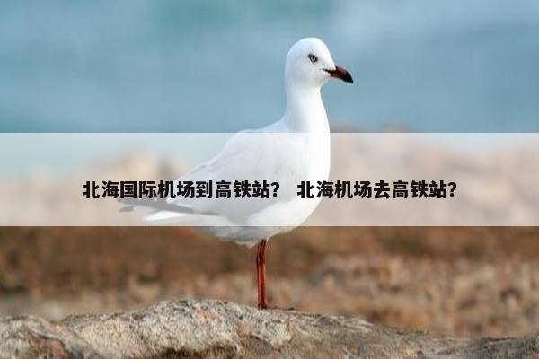 北海国际机场到高铁站？ 北海机场去高铁站？