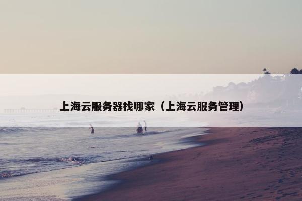 上海云服务器找哪家（上海云服务管理）