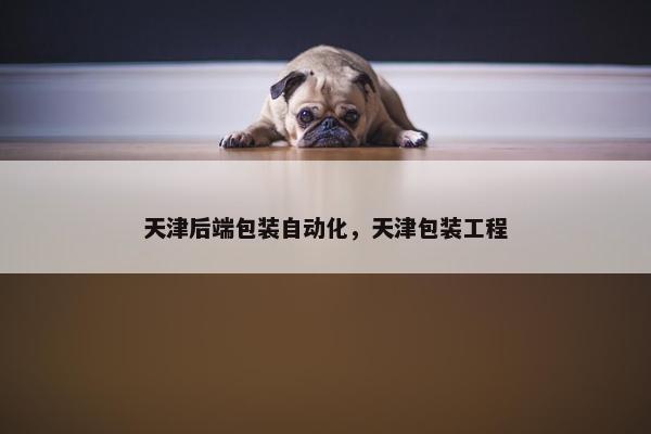天津后端包装自动化，天津包装工程