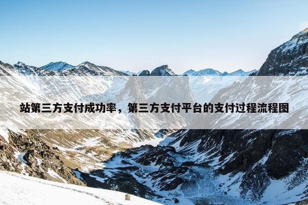 站第三方支付成功率，第三方支付平台的支付过程流程图