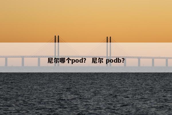 尼尔哪个pod？ 尼尔 podb？