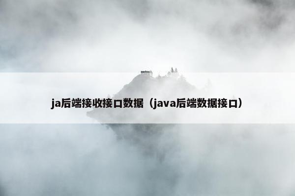 ja后端接收接口数据（java后端数据接口）