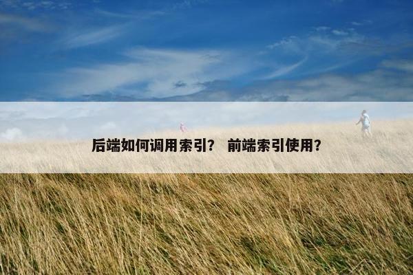 后端如何调用索引？ 前端索引使用？