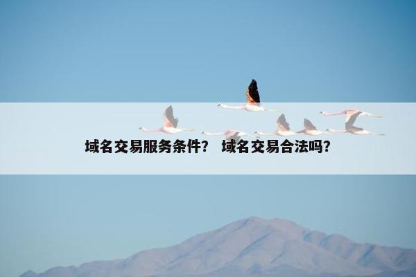域名交易服务条件？ 域名交易合法吗？