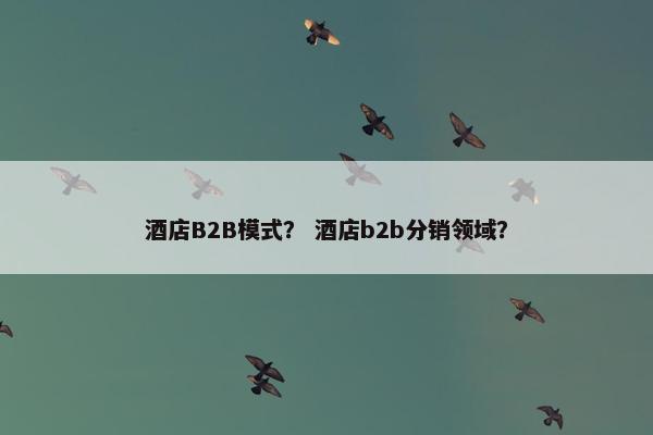 酒店B2B模式？ 酒店b2b分销领域？