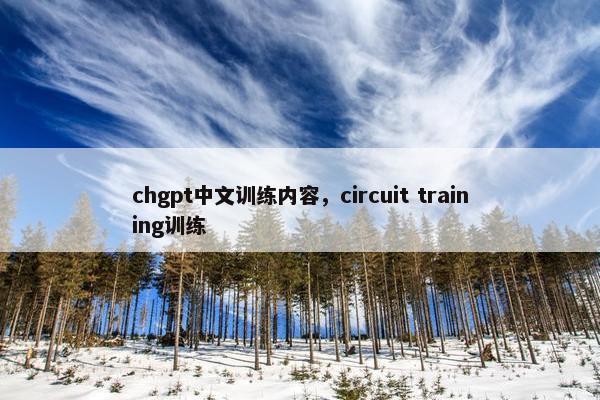 chgpt中文训练内容，circuit training训练
