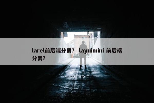 larel前后端分离？ layuimini 前后端分离？