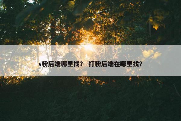 s粉后端哪里找？ 打粉后端在哪里找？