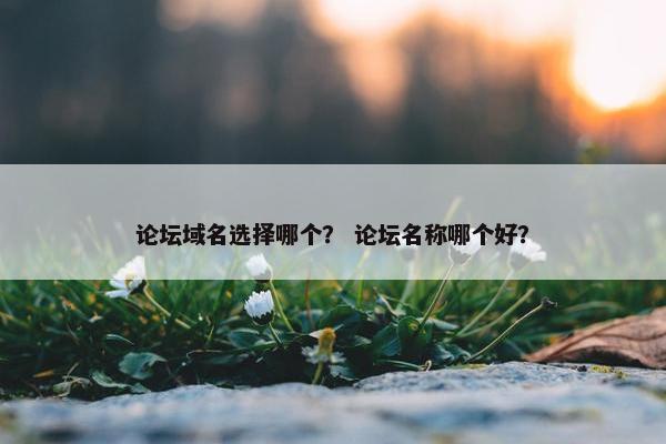 论坛域名选择哪个？ 论坛名称哪个好？