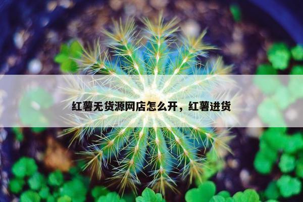 红薯无货源网店怎么开，红薯进货
