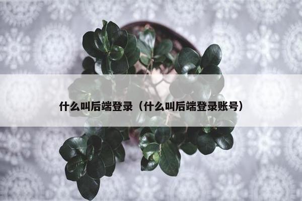 什么叫后端登录（什么叫后端登录账号）