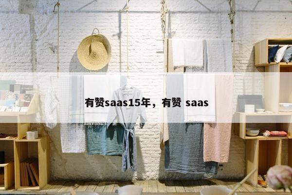 有赞saas15年，有赞 saas