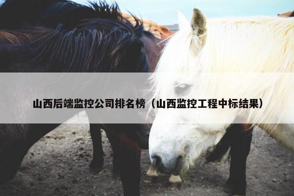 山西后端监控公司排名榜（山西监控工程中标结果）