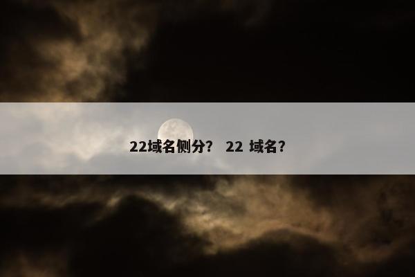 22域名侧分？ 22 域名？