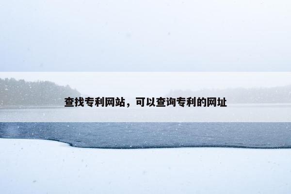 查找专利网站，可以查询专利的网址