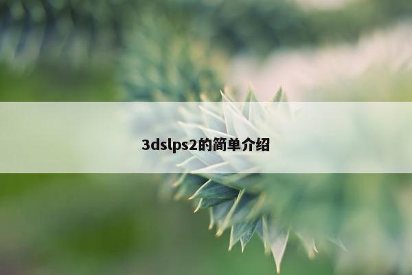 3dslps2的简单介绍