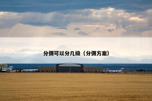 分佣可以分几级（分佣方案）