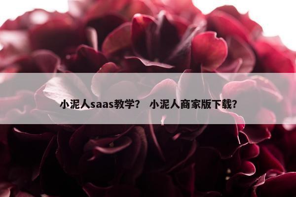 小泥人saas教学？ 小泥人商家版下载？