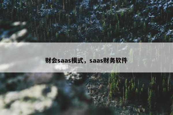 财会saas模式，saas财务软件