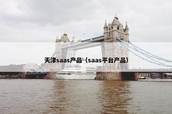 天津saas产品（saas平台产品）