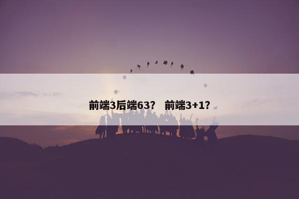 前端3后端63？ 前端3+1？