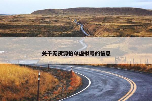 关于无货源拍单虚拟号的信息
