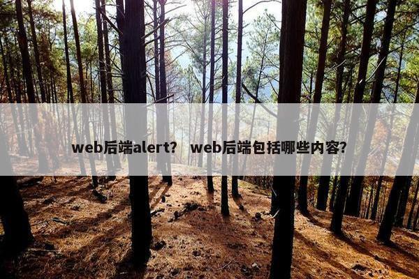 web后端alert？ web后端包括哪些内容？