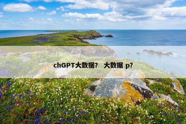 chGPT大数据？ 大数据 p？