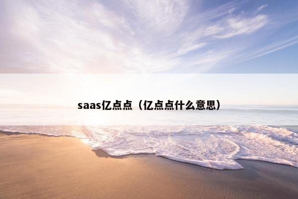 saas亿点点（亿点点什么意思）