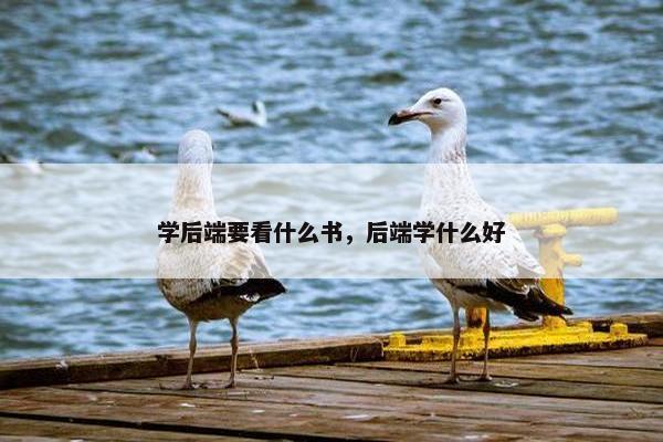 学后端要看什么书，后端学什么好