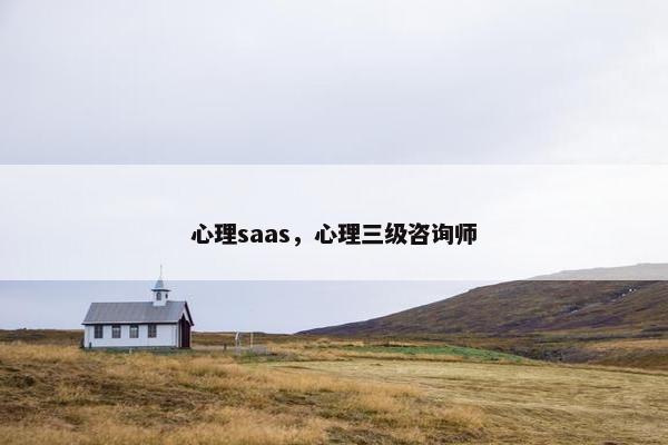 心理saas，心理三级咨询师