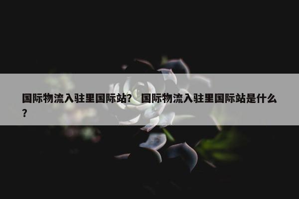 国际物流入驻里国际站？ 国际物流入驻里国际站是什么？