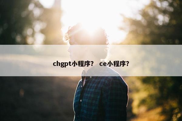 chgpt小程序？ ce小程序？