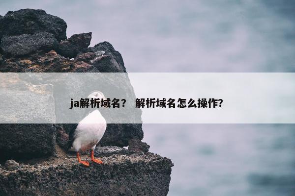 ja解析域名？ 解析域名怎么操作？