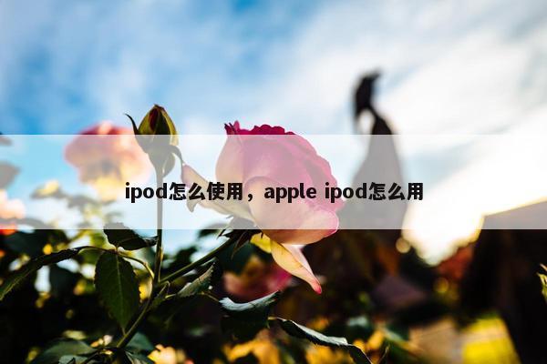 ipod怎么使用，apple ipod怎么用