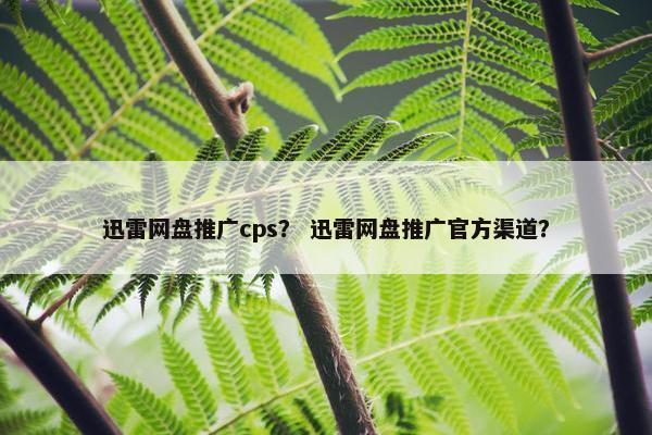 迅雷网盘推广cps？ 迅雷网盘推广官方渠道？