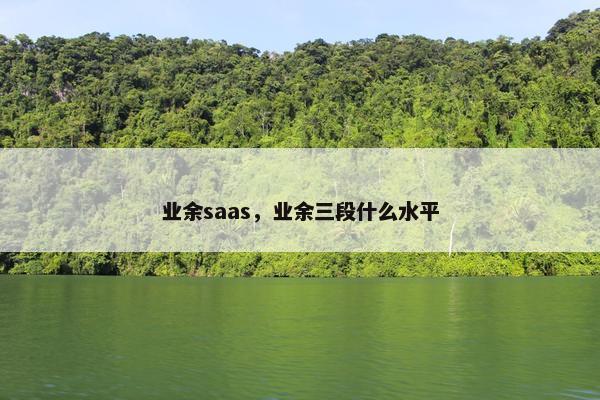 业余saas，业余三段什么水平