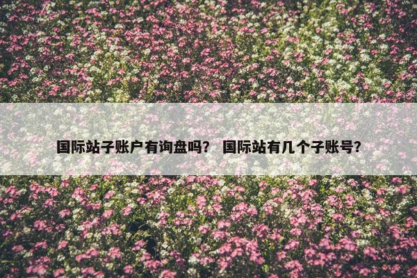 国际站子账户有询盘吗？ 国际站有几个子账号？