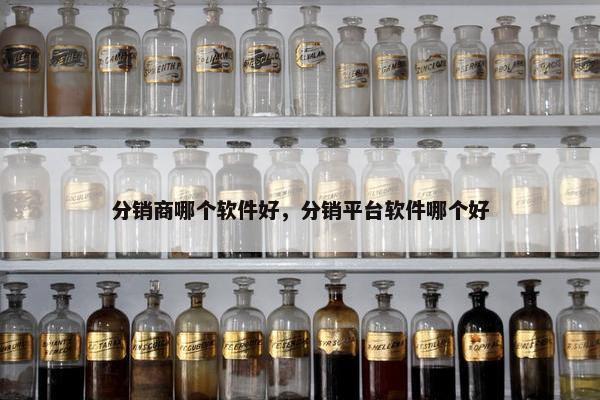 分销商哪个软件好，分销平台软件哪个好