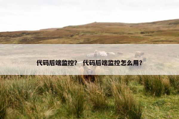 代码后端监控? 代码后端监控怎么用? 代码后端监控? 代码后端监控怎么用?