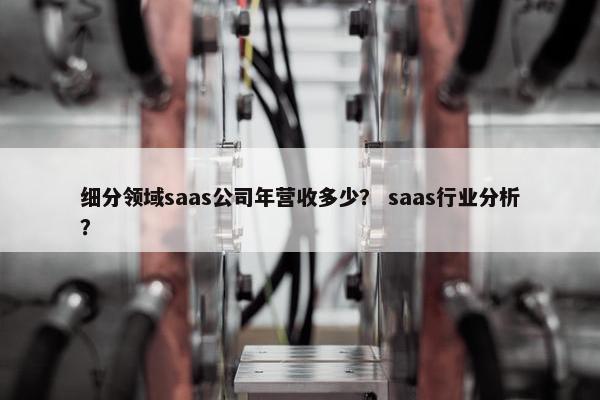 细分领域saas公司年营收多少？ saas行业分析？