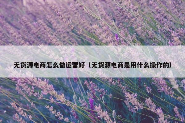 无货源电商怎么做运营好（无货源电商是用什么操作的）