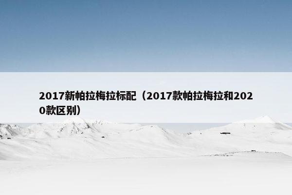 2017新帕拉梅拉标配（2017款帕拉梅拉和2020款区别）